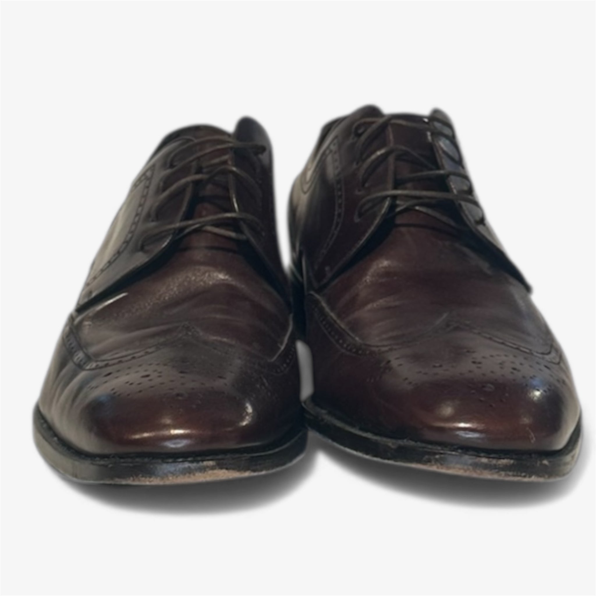 Ferragamo Brown Wingtip Leather Derby